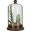 Stolp vetplant 9x15,5 cm groen