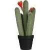 Cactus in pot Ø12,5x39 cm groen