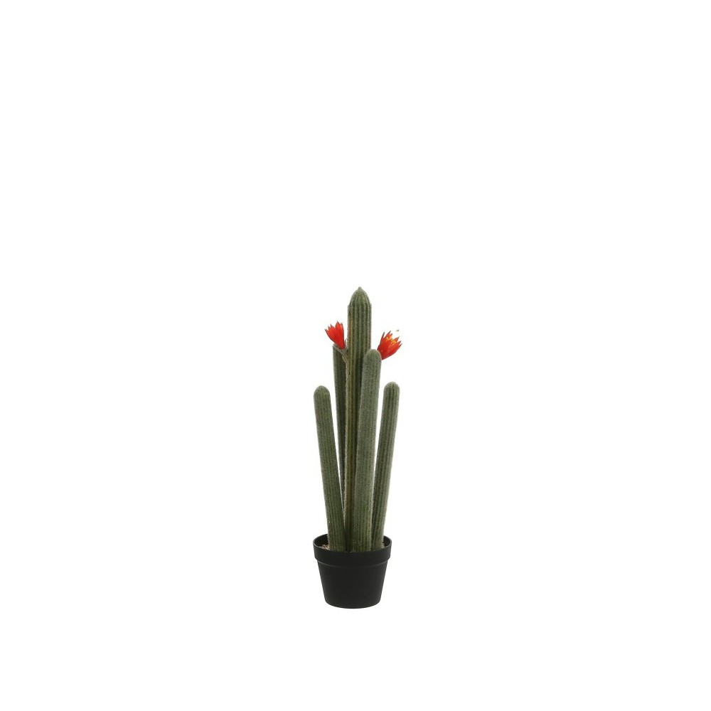 Cactus in pot Ø18x72 cm groen