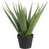 Aloe Vera in pot Ø60x50 cm groen