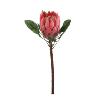 Protea 67 cm roze