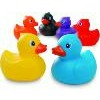 Badeendjes 6-delig