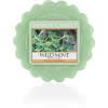 YC Wild Mint Wax Melt